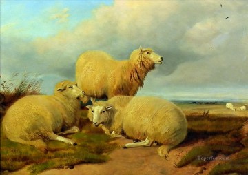 Schaf auf der Wiese Ölgemälde